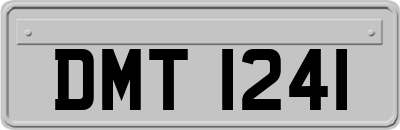 DMT1241