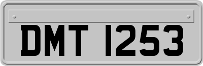 DMT1253