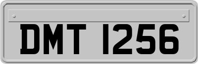 DMT1256