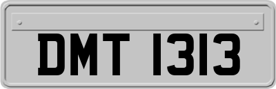 DMT1313