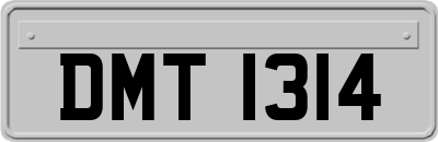 DMT1314