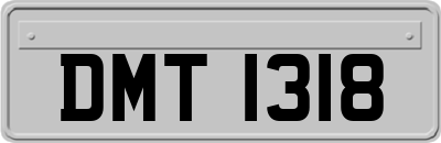 DMT1318