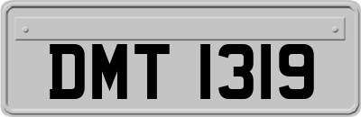 DMT1319