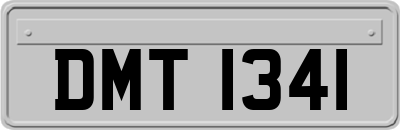 DMT1341