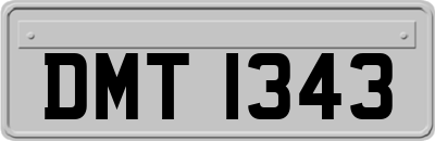 DMT1343