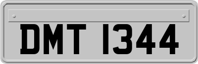 DMT1344