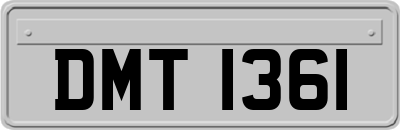 DMT1361