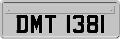 DMT1381
