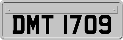 DMT1709