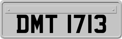 DMT1713