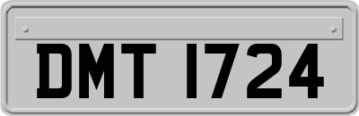 DMT1724