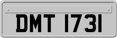 DMT1731