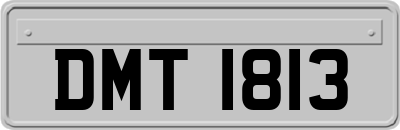 DMT1813