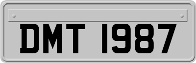 DMT1987