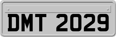 DMT2029