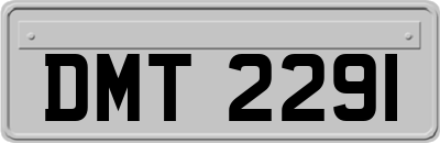 DMT2291