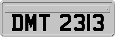 DMT2313