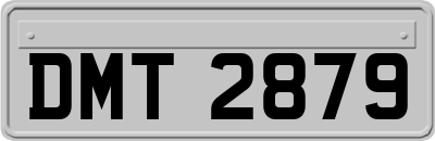 DMT2879
