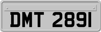 DMT2891