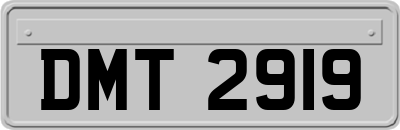 DMT2919