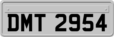 DMT2954
