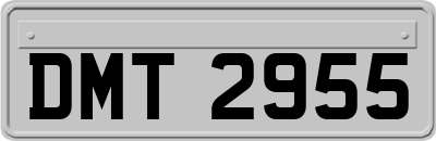 DMT2955