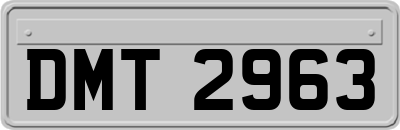 DMT2963