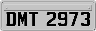 DMT2973