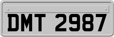 DMT2987