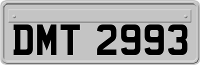 DMT2993