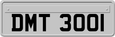 DMT3001