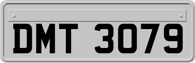 DMT3079