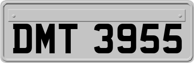 DMT3955