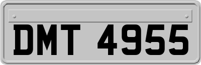 DMT4955