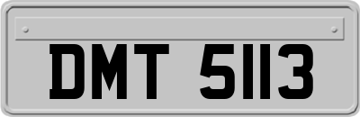 DMT5113