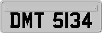 DMT5134