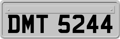 DMT5244