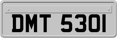 DMT5301