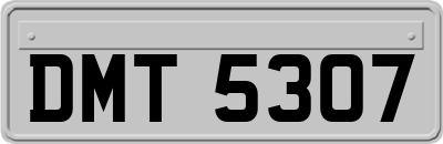 DMT5307