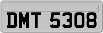 DMT5308