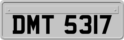 DMT5317
