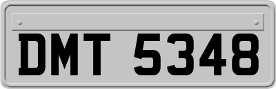 DMT5348