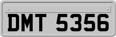 DMT5356