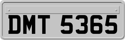 DMT5365