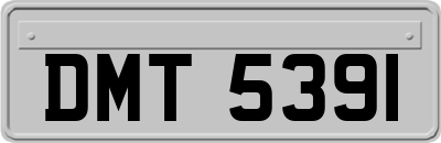 DMT5391
