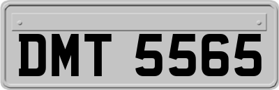 DMT5565