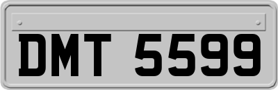 DMT5599