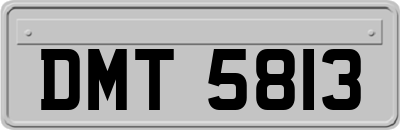 DMT5813