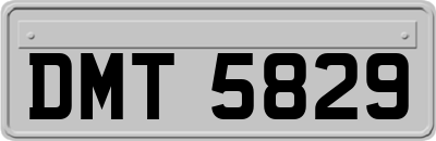 DMT5829