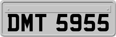 DMT5955